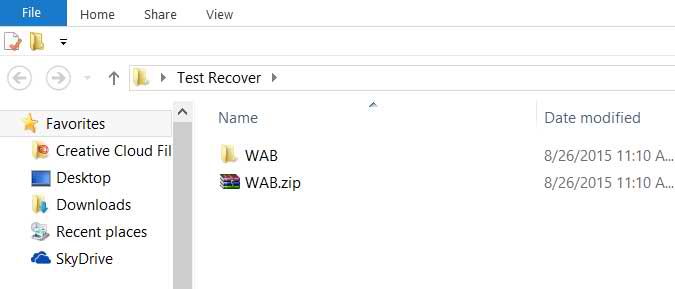 The Recovered Files