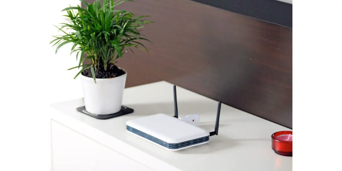 AdobeStock_18998365 home router on table next to plant