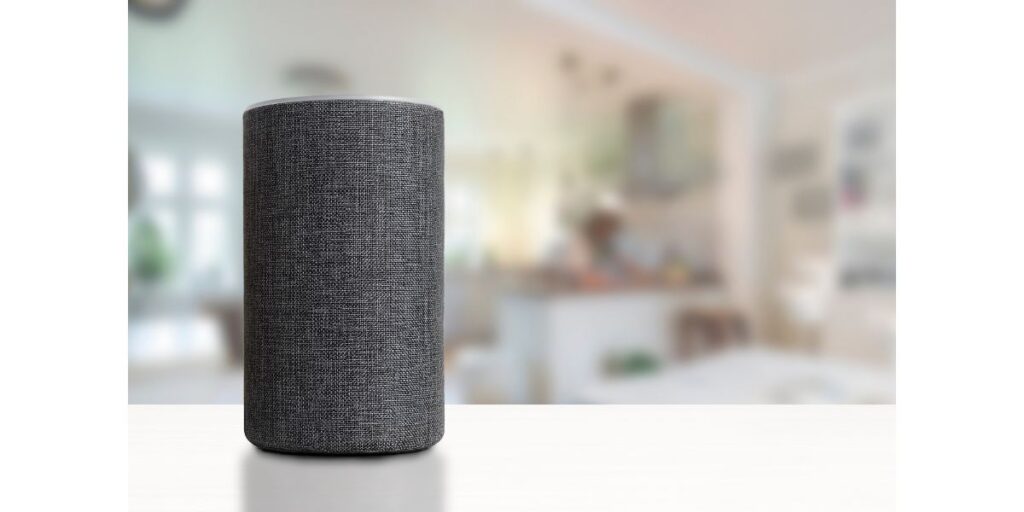 can-you-use-alexa-without-the-internet-answered-whatsabyte