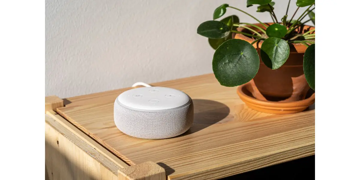 AdobeStock_308643056 Amazon Alexa Echo on a wooden bench with green plants in the background