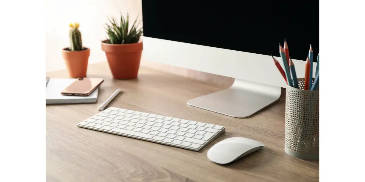 AdobeStock_310472775 Workplace with computer and plant on wooden table, close up