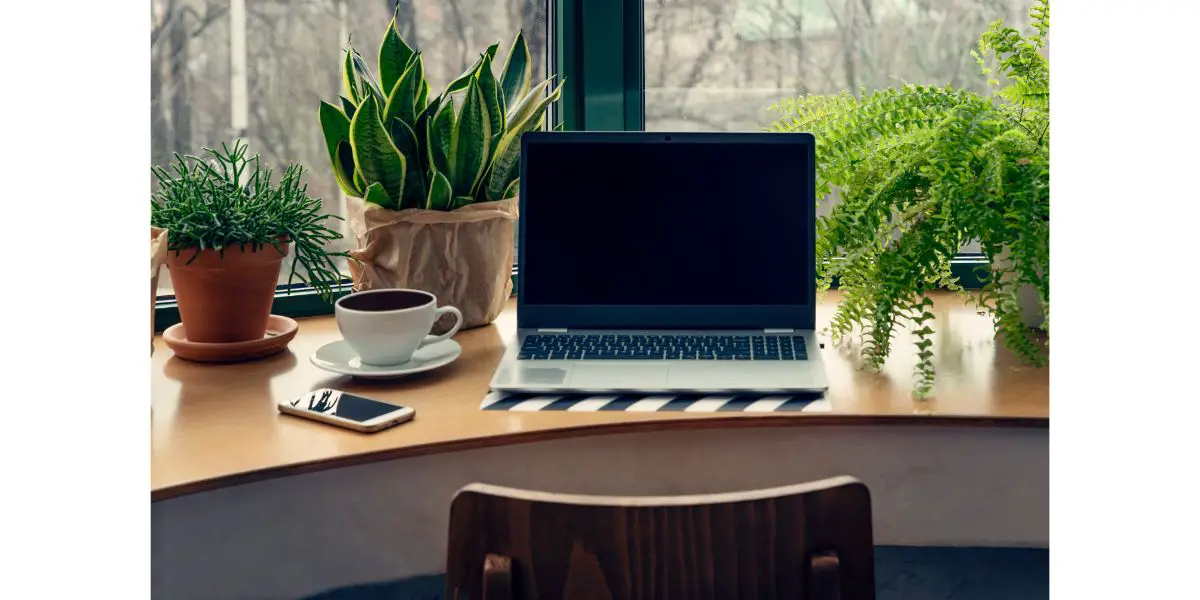 AdobeStock_330943847 Design office desk with green plants and laptop with mock up in vintage style. Workspace with window in modern interior.