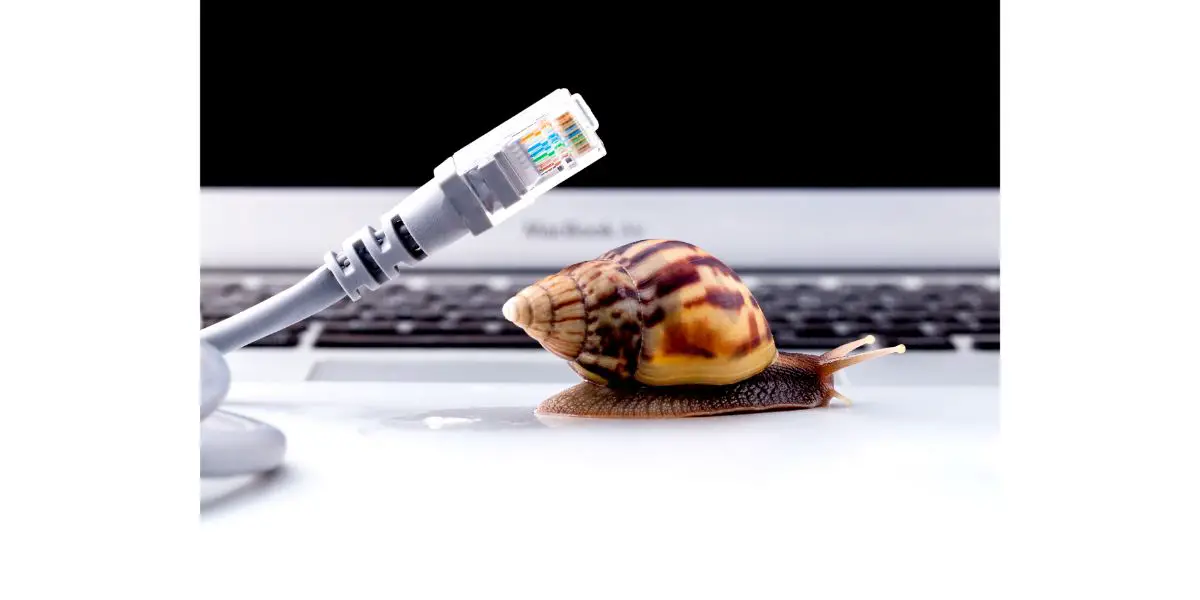 AdobeStock_90593315 Snail with rj45 connector symbolic photo for slow internet connection