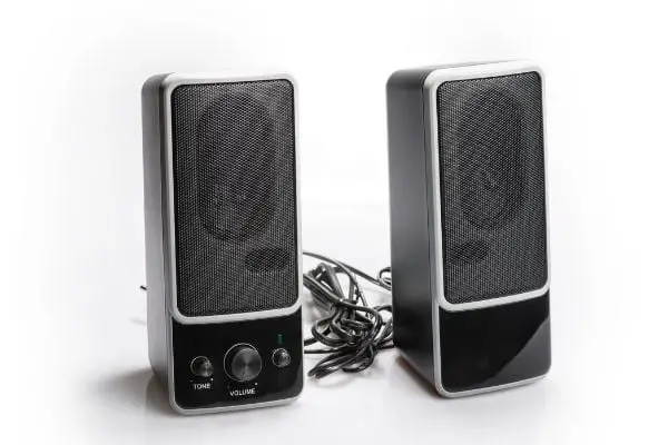 Depositphotos_66390485_S Black two speaker isolated on white background