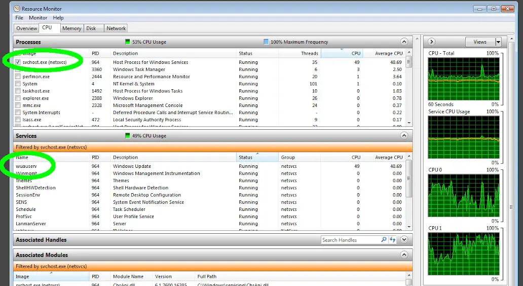 Service interruption. CPU 100%. Netsvcs. CPU 100% gu 100% task Manager. Svchost.exe (netsvcs).