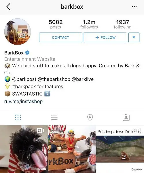 How To Write Good Instagram Bios That Attract More Visitors