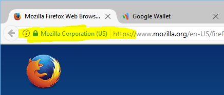 HTTPS with company or organization name