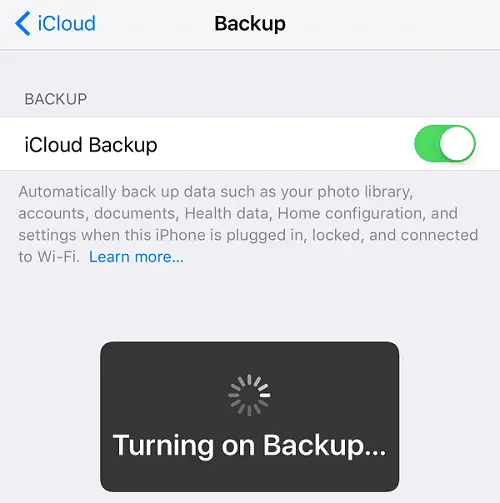 Turns on iCloud backup