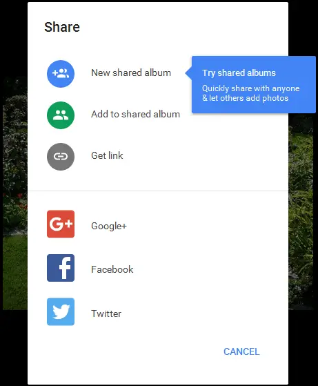 Share an image on Google Photos