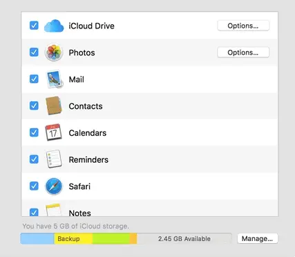 Pick what data you want to backup with iCloud