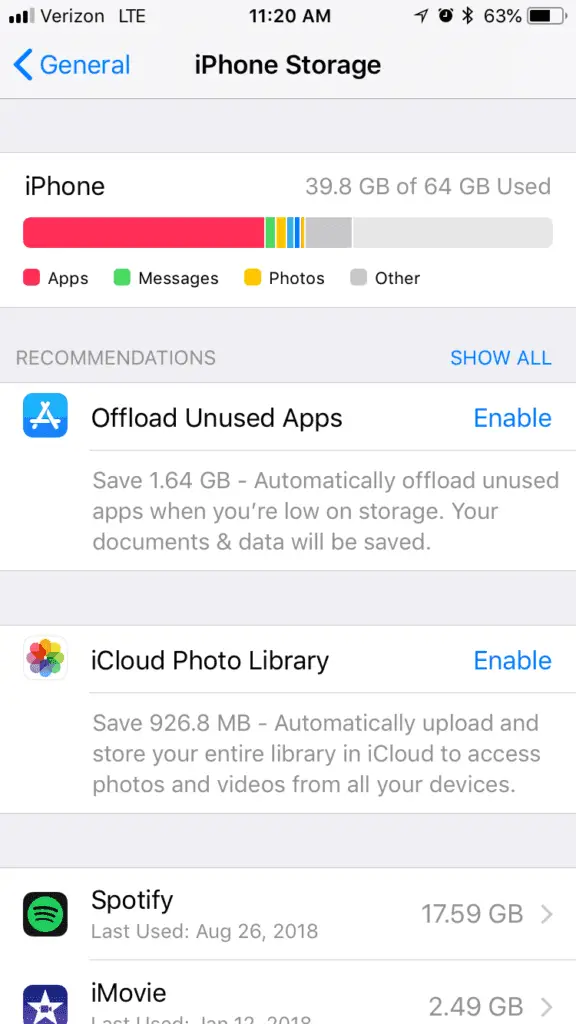 Screenshot of iPhone Storage