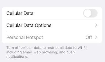 iPhone cellular data setting turned off