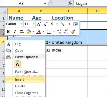 Insert multiple Excel rows or columns