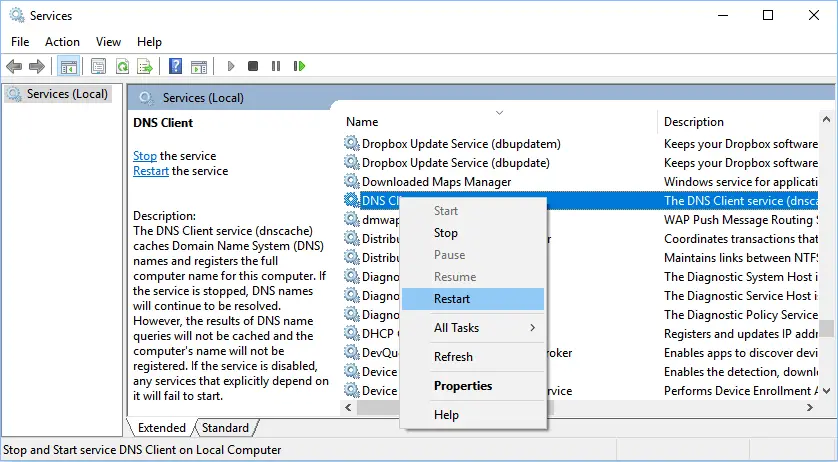 wamp server dns address could not be found