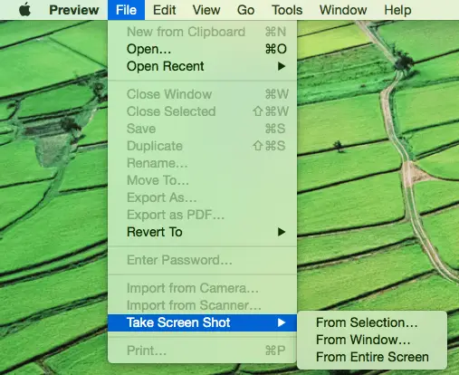 Take Screenshot Mac with Preview