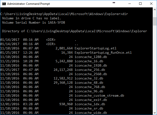 Windows 10 iconcache files