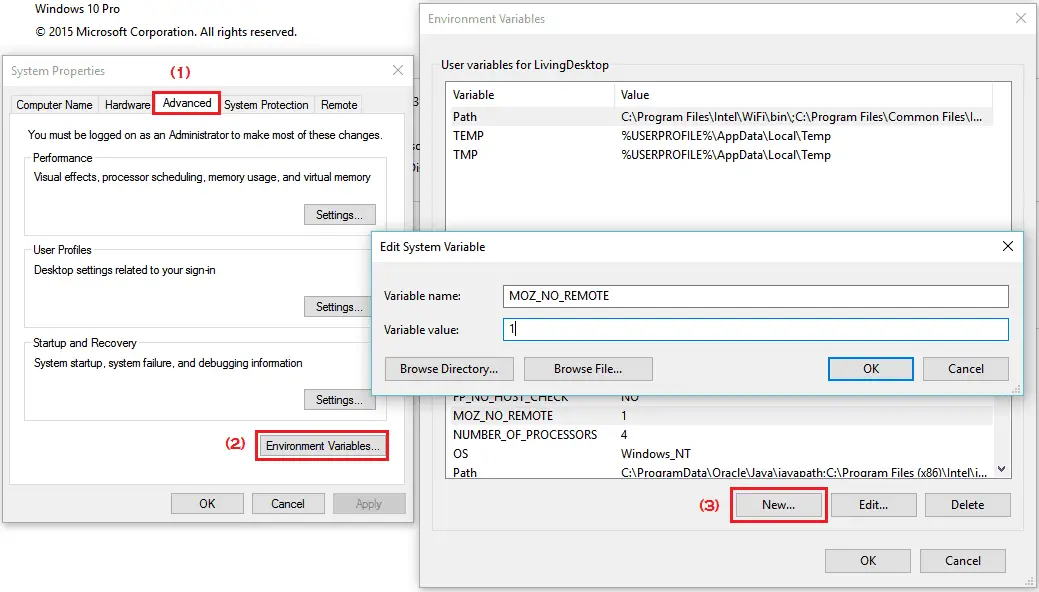 Windows Environment Variables